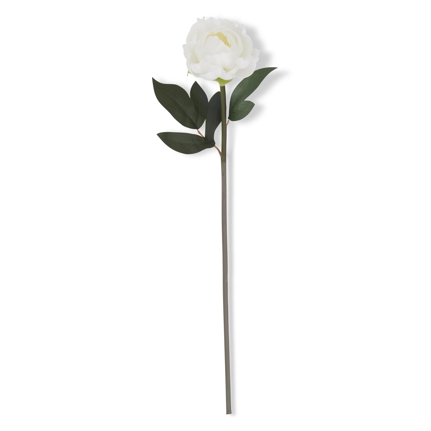 20 INCH WHITE REAL TOUCH PEONY STEM