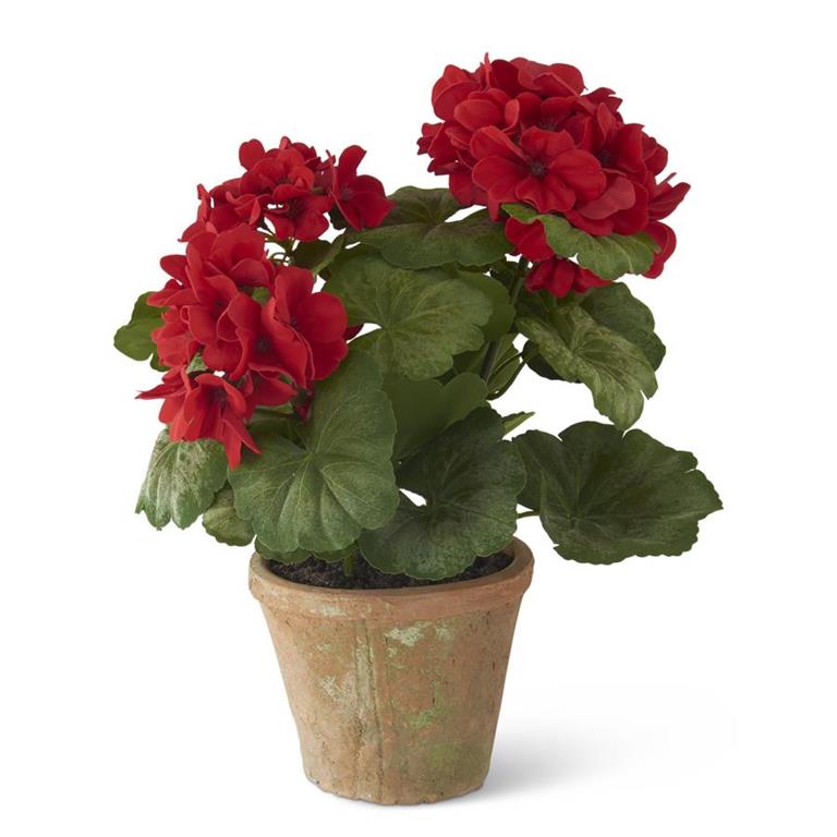 14 INCH RED POTTED GERANIUM IN CLAY POT