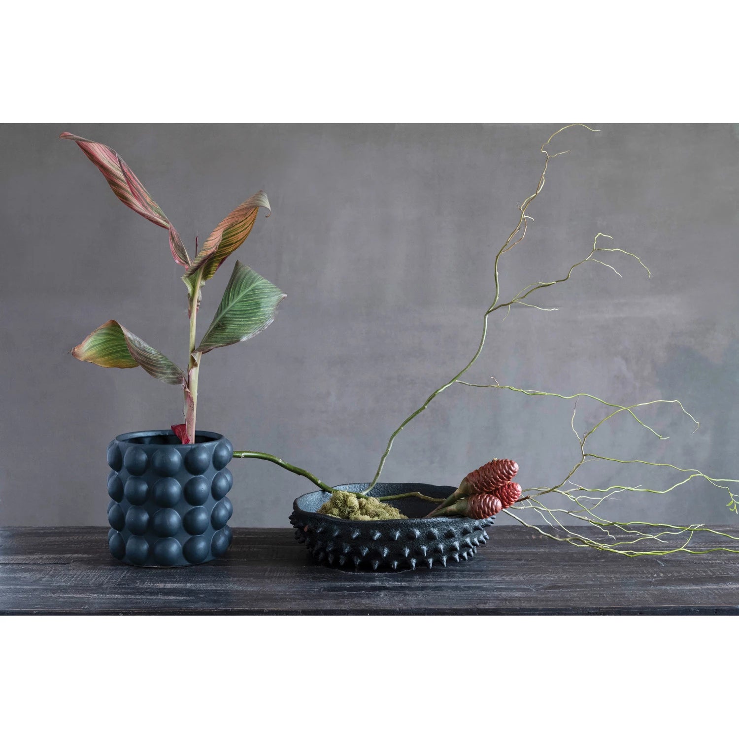 PLANTER WITH RAISED DOTS
