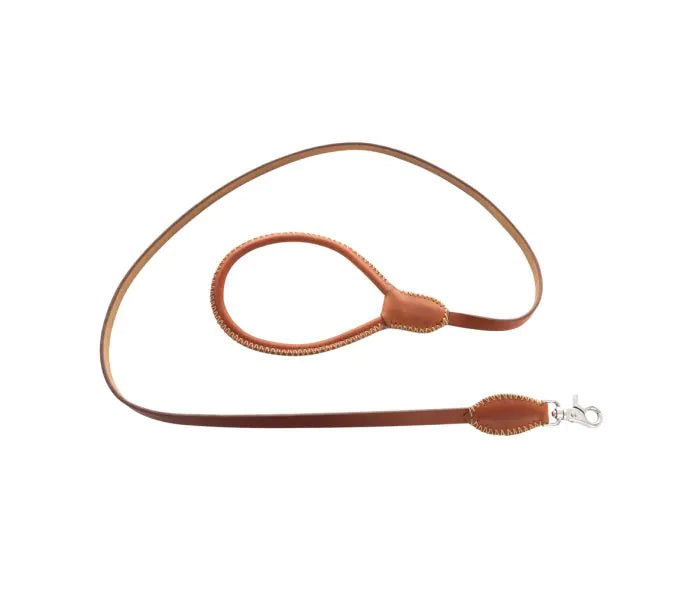 Exploradora Dog Leash